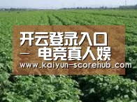 种植基地五(图1)