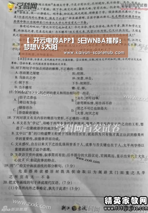  开云电竞APP